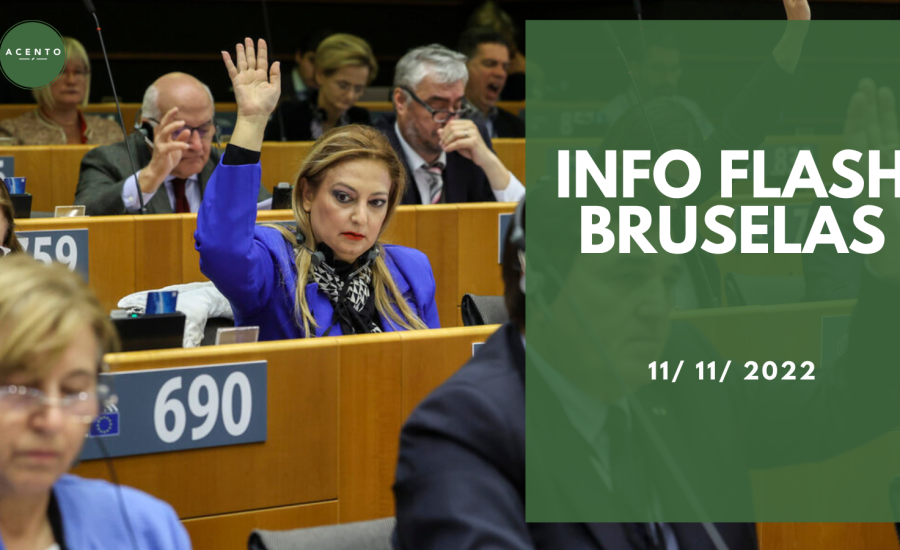 Info Flash Bruselas