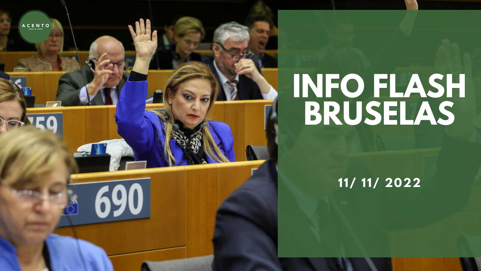 Info Flash Bruselas