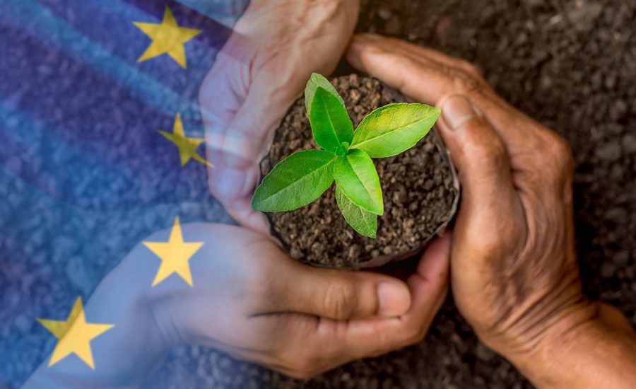 Informe Sostenibilidad Europa Junio-Agosto 2020
