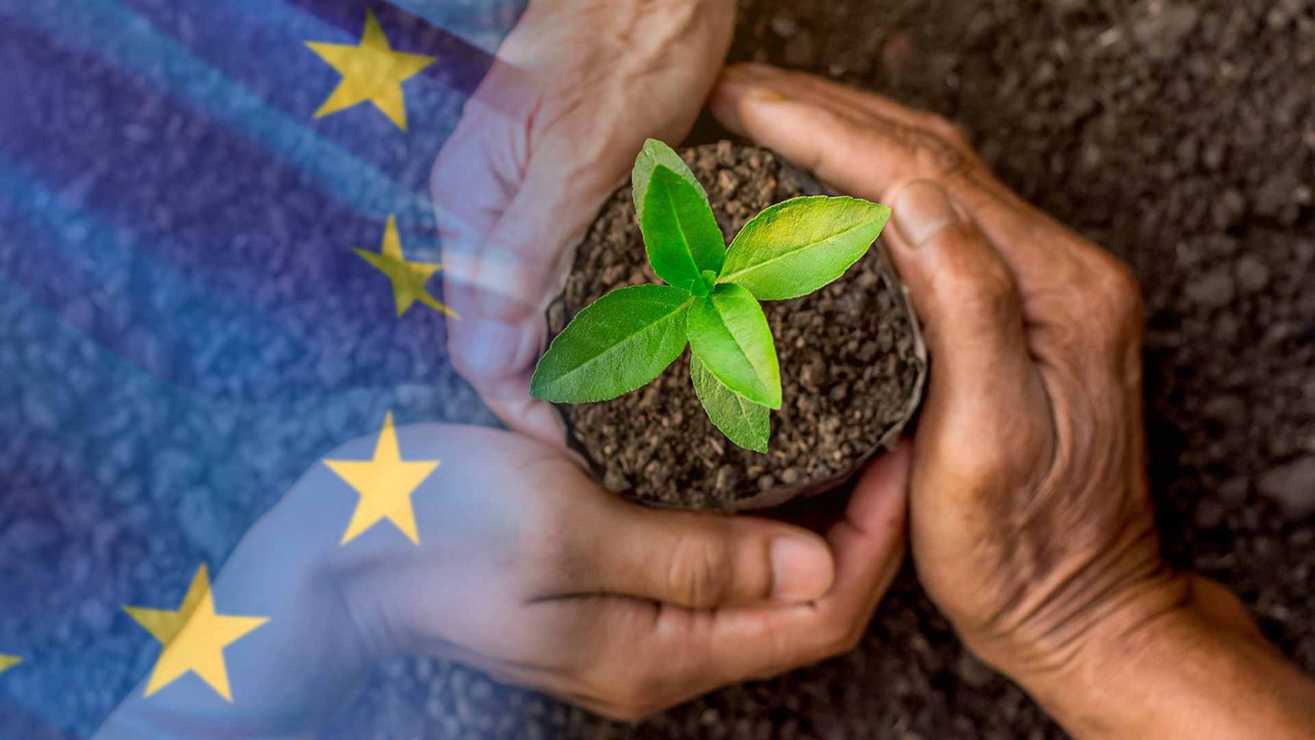 Informe Sostenibilidad Europa Ene-May 2020