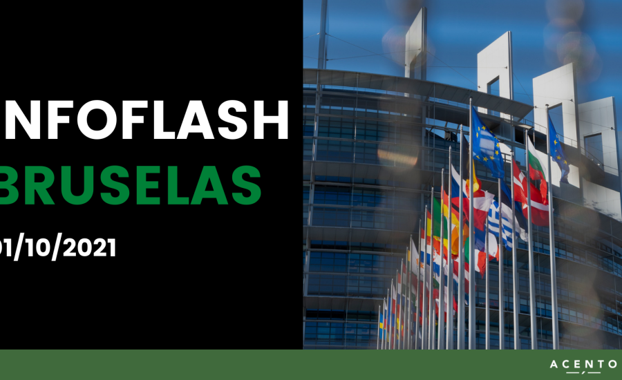 INFO FLASH BRUSELAS