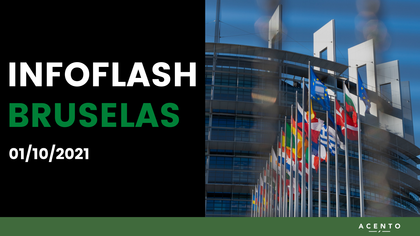 INFO FLASH BRUSELAS