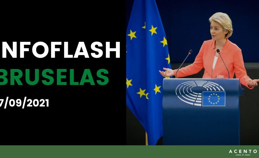 INFO FLASH BRUSELAS