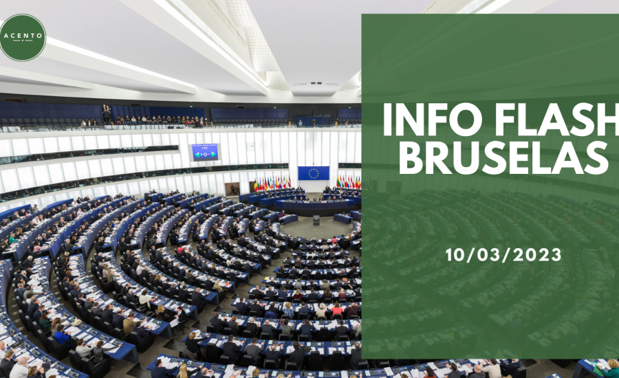 Info Flash Bruselas