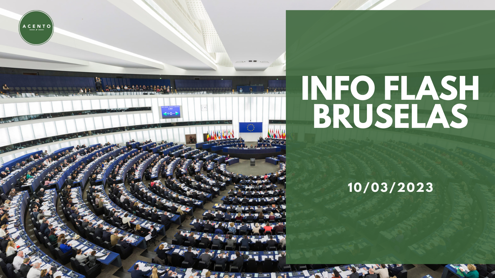 Info Flash Bruselas