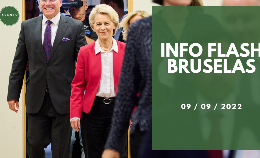 INFO FLASH BRUSELAS