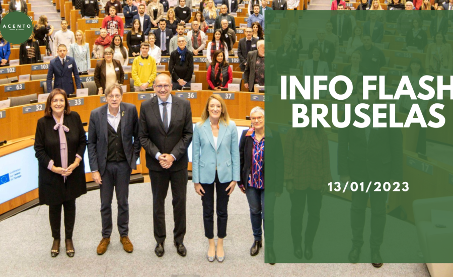 Info Flash Bruselas