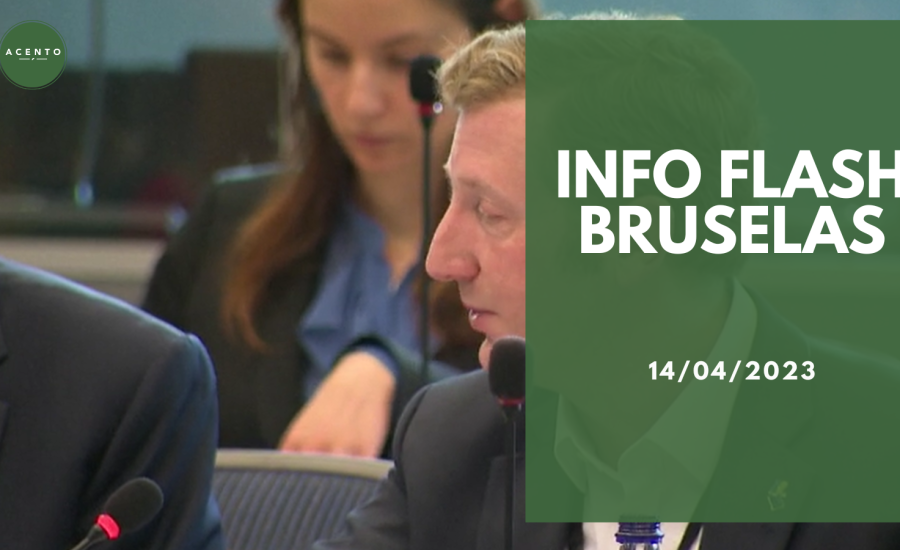 Info Flash Bruselas