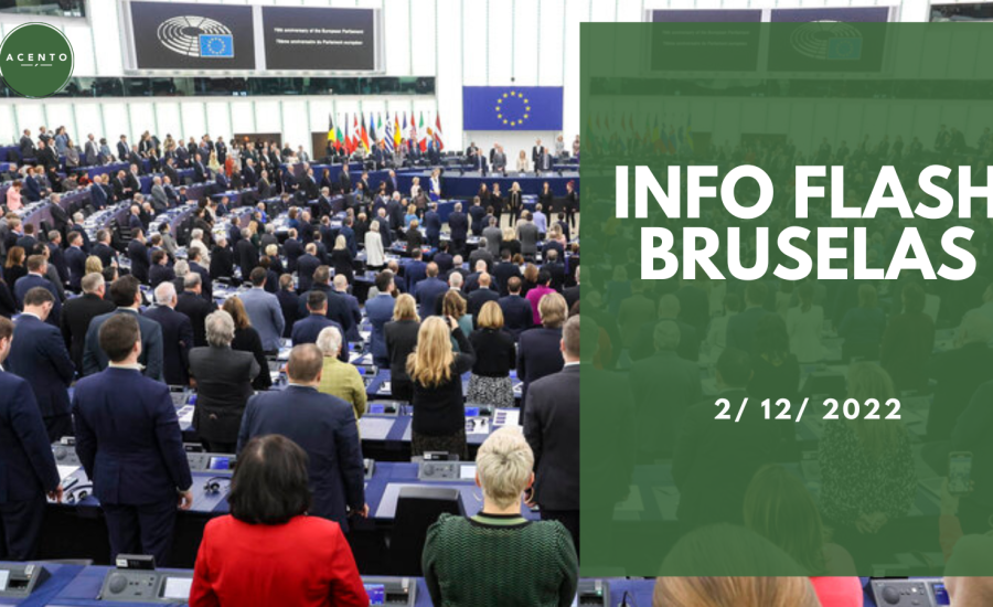 Info Flash Bruselas