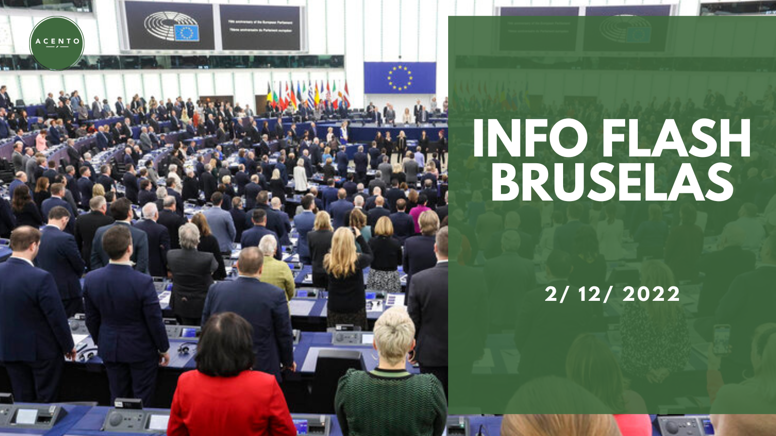 Info Flash Bruselas