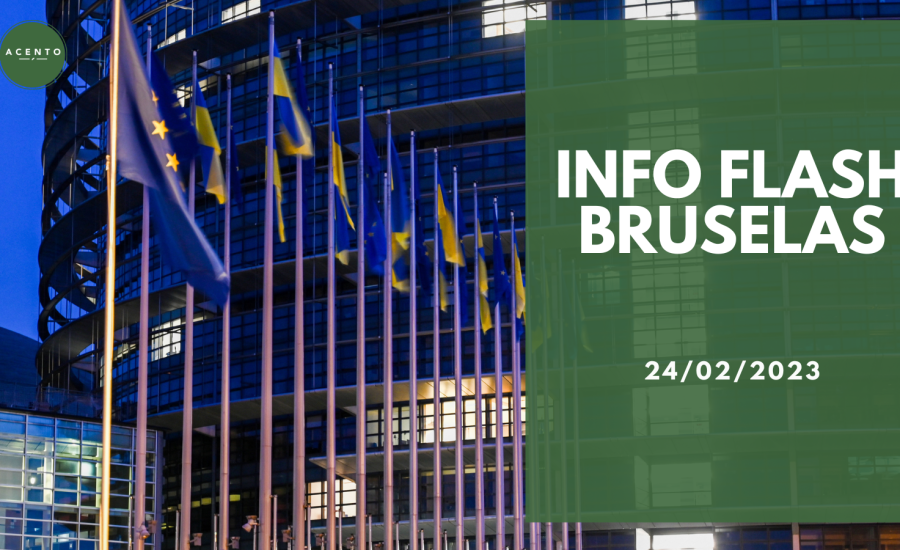 Info Flash Bruselas