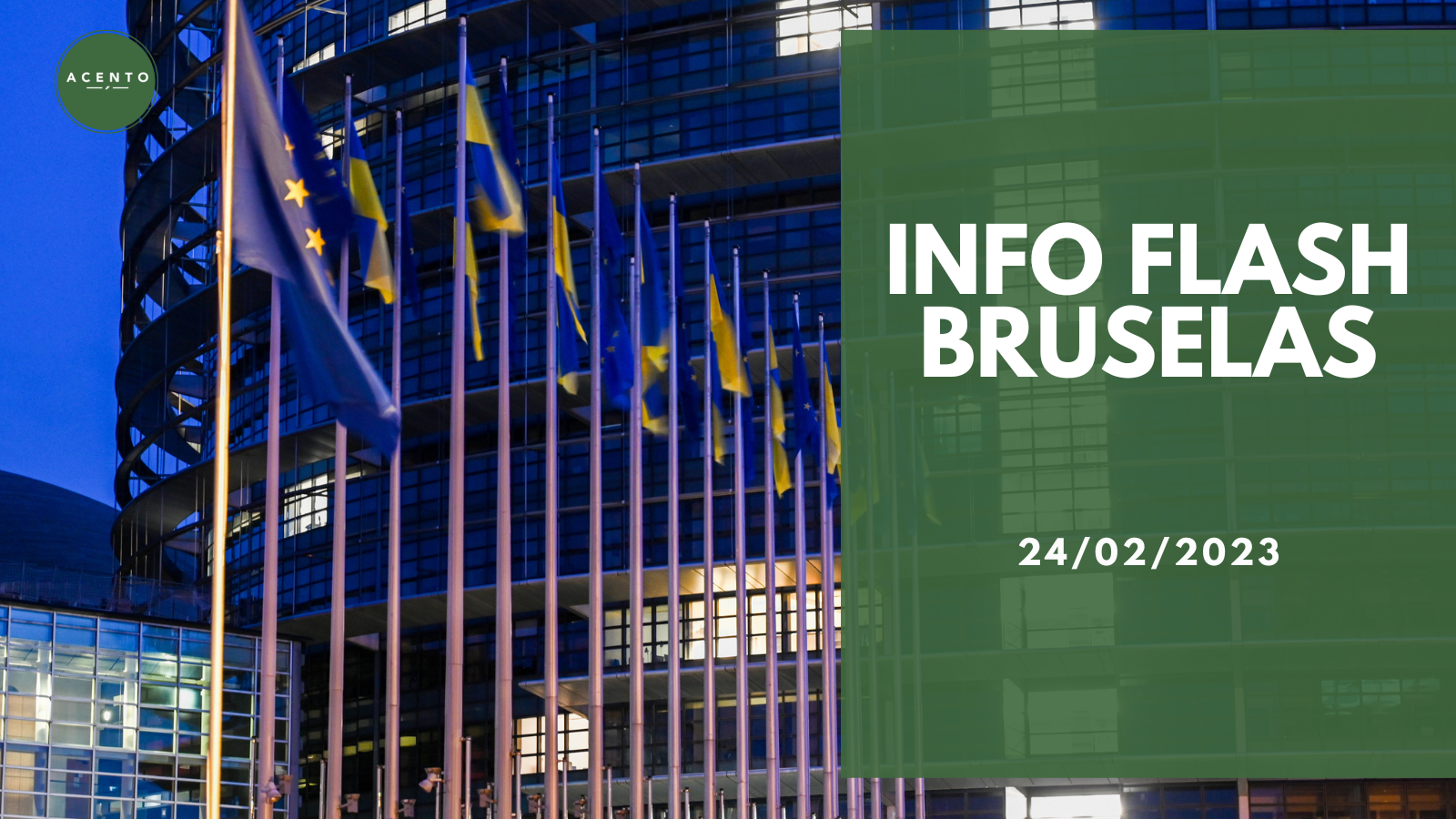 Info Flash Bruselas