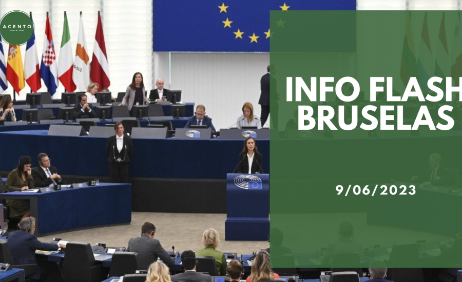 Info Flash Bruselas