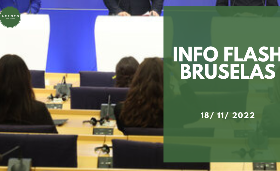 Info Flash Bruselas