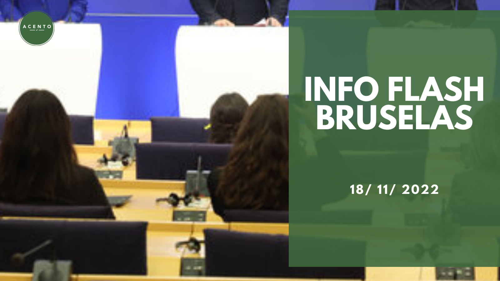 Info Flash Bruselas