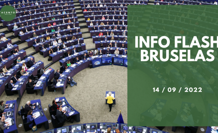 INFO FLASH BRUSELAS