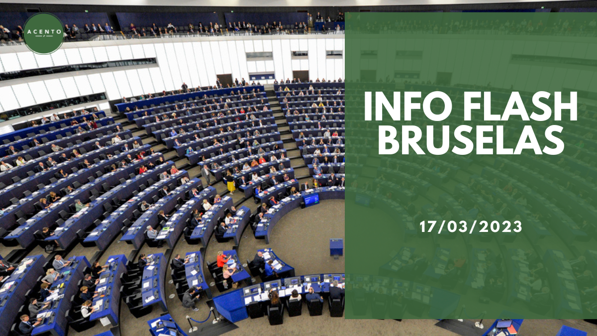 Info Flash Bruselas