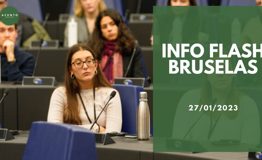 Info Flash Bruselas