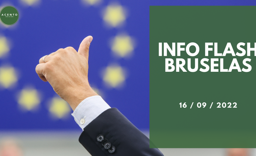 INFO FLASH BRUSELAS