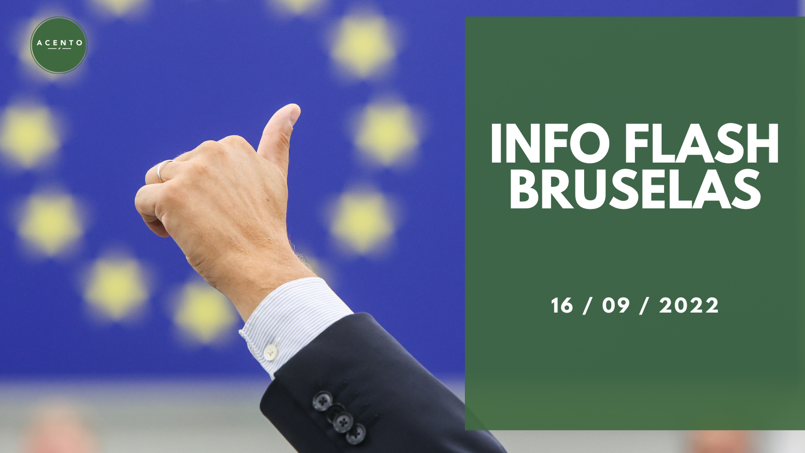 INFO FLASH BRUSELAS