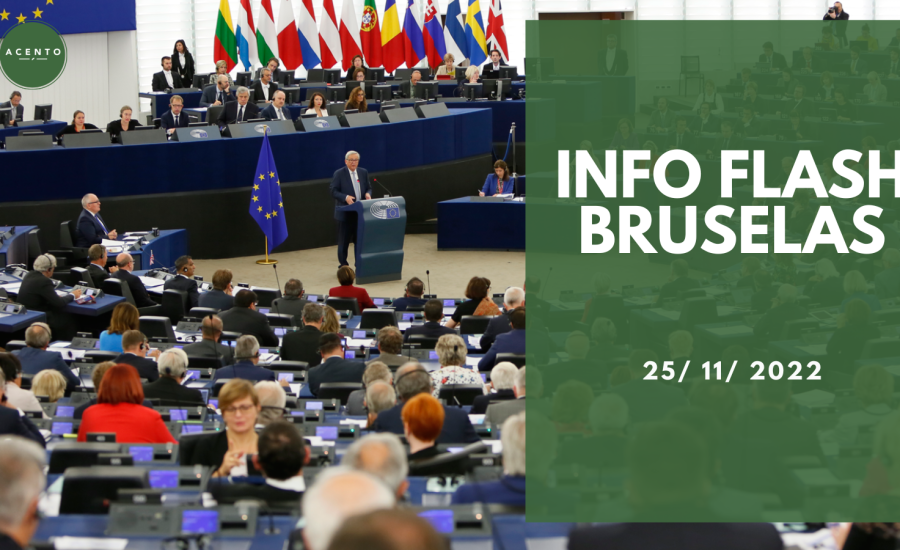 Info Flash Bruselas