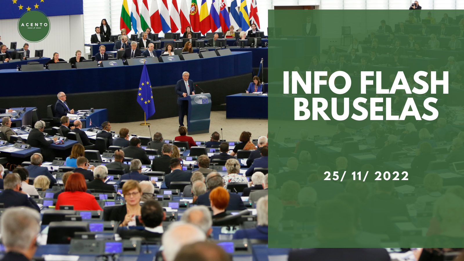 Info Flash Bruselas