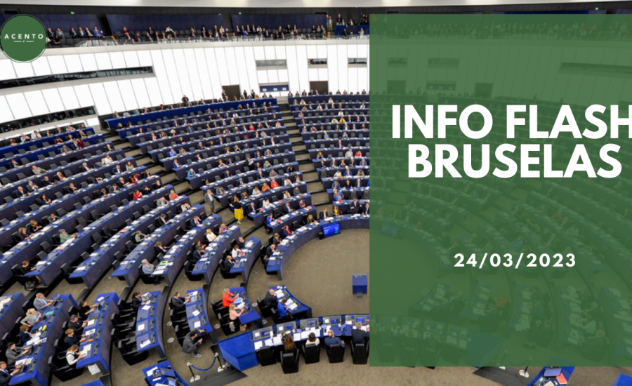 Info Flash Bruselas