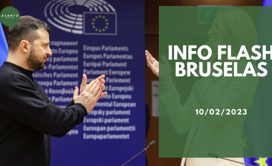 Info Flash Bruselas