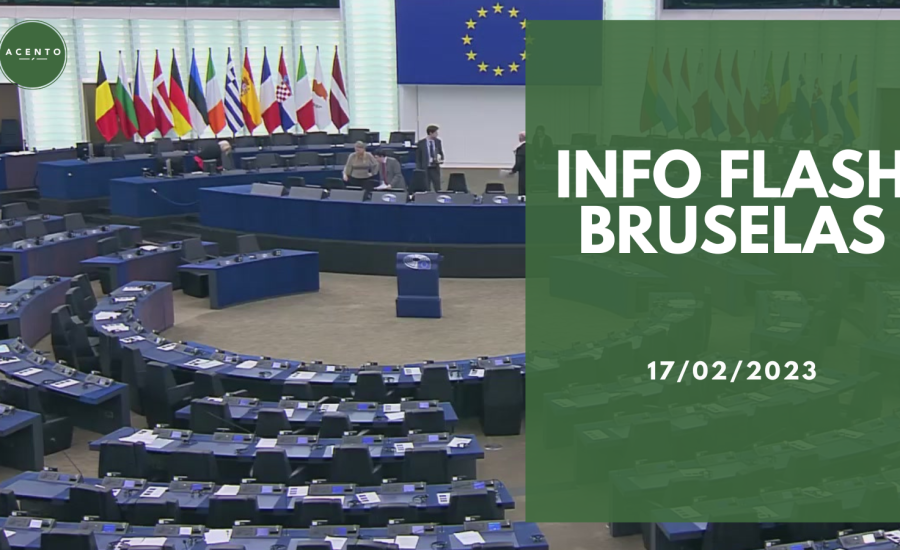 Info Flash Bruselas