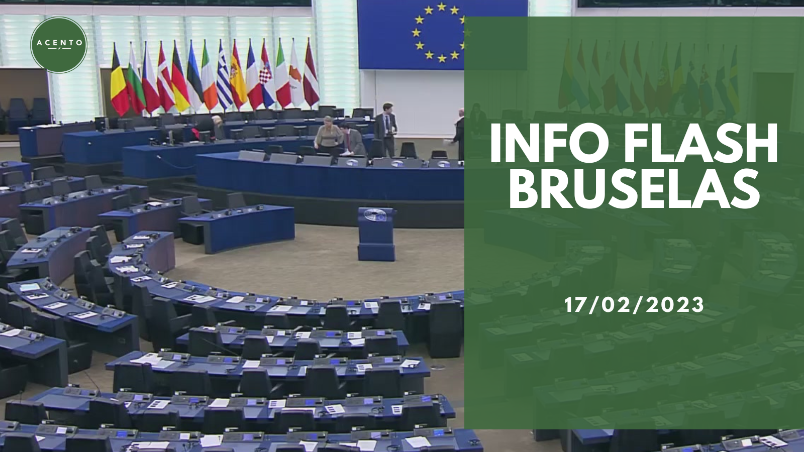 Info Flash Bruselas