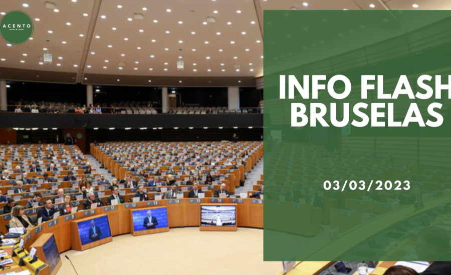 Info Flash Bruselas