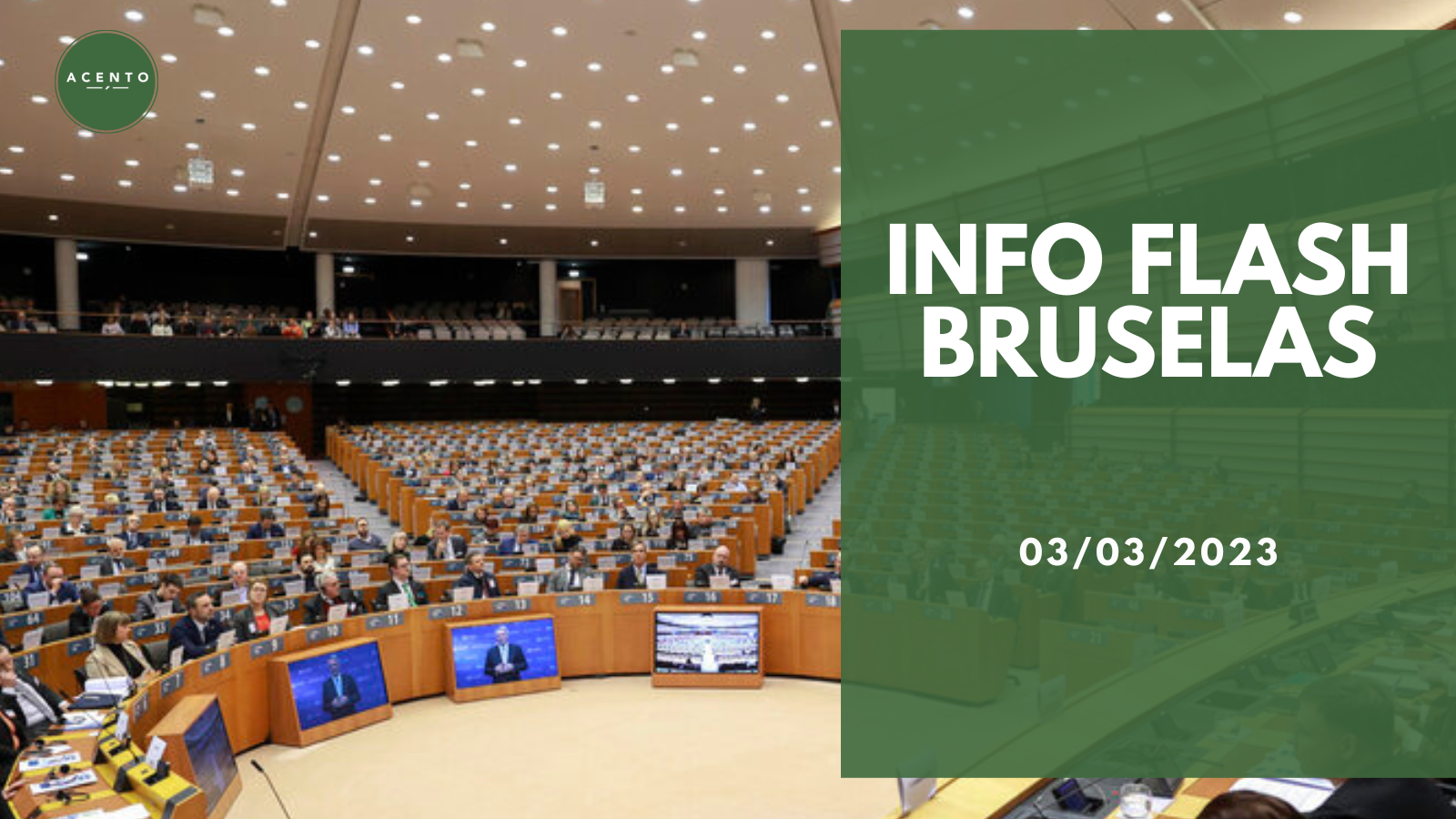 Info Flash Bruselas