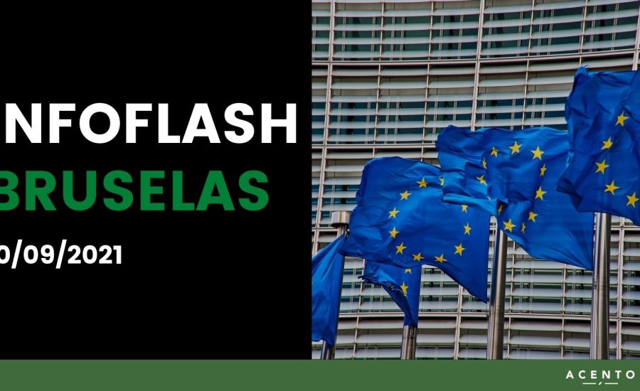 INFO FLASH BRUSELAS