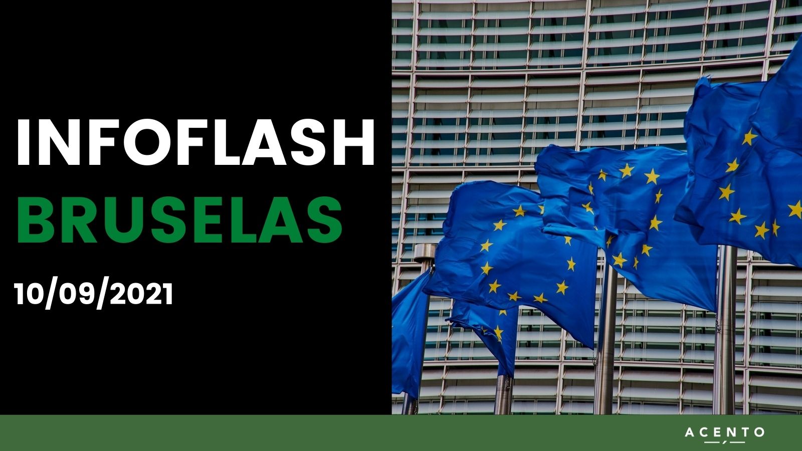 INFO FLASH BRUSELAS