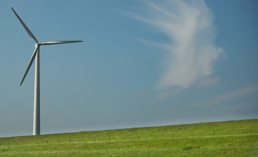 EL GOBIERNO APRUEBA UN PAQUETE VERDE DE MEDIDAS SOBRE TRANSICIÓN ECOLÓGICA